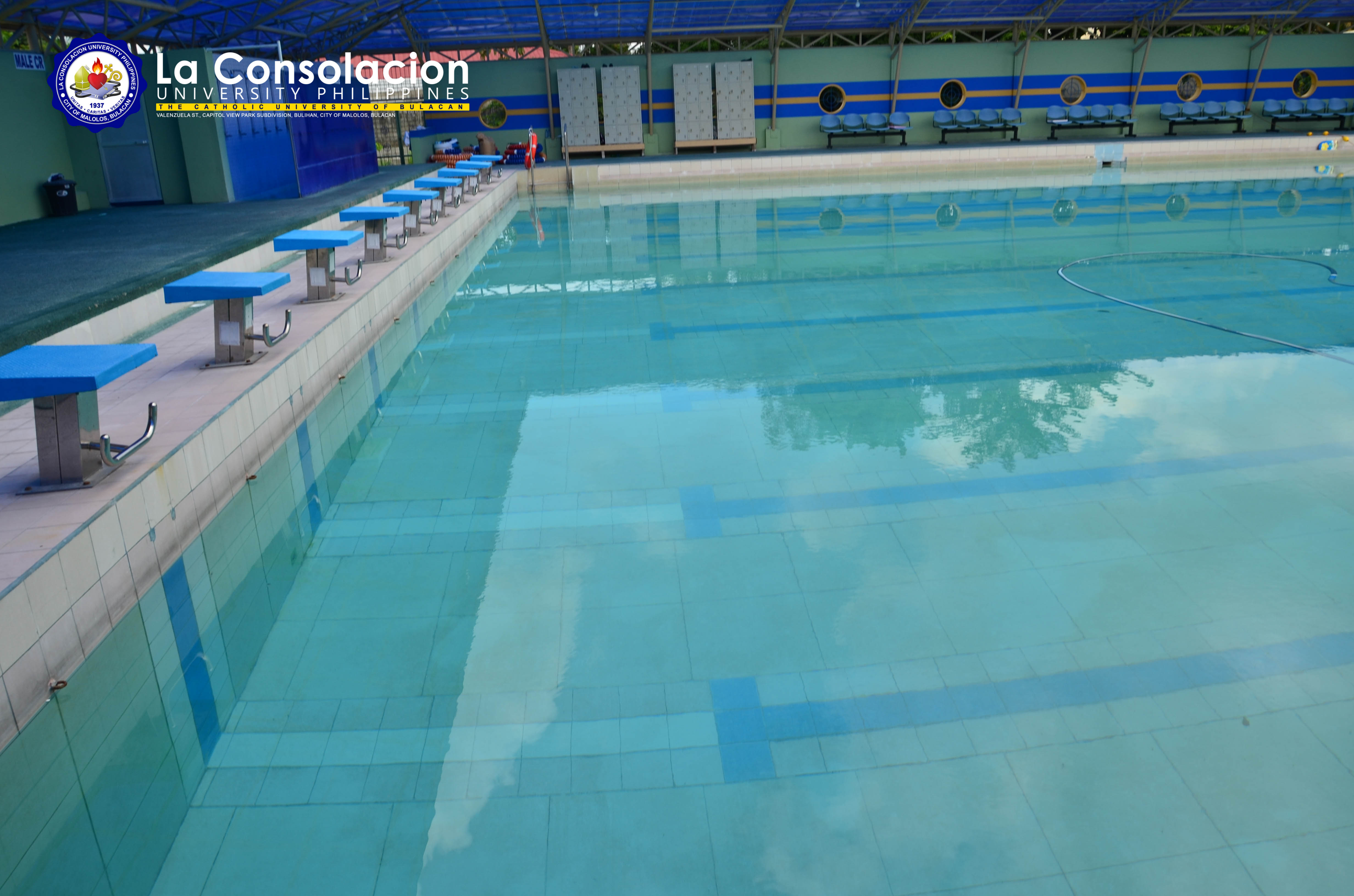 Adeodatus Mini Olympic Swimming Pool