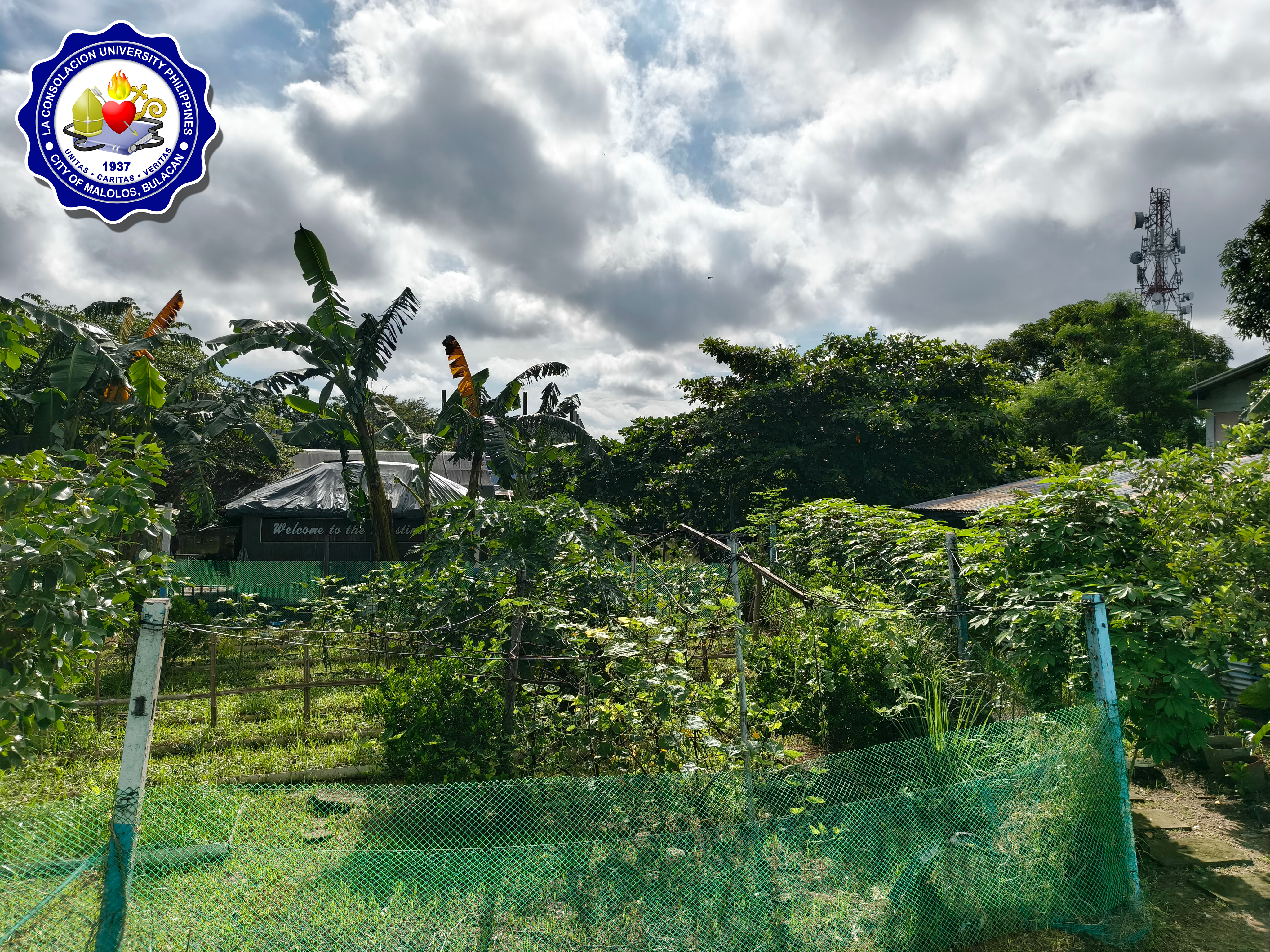 AGOSTINO FARM