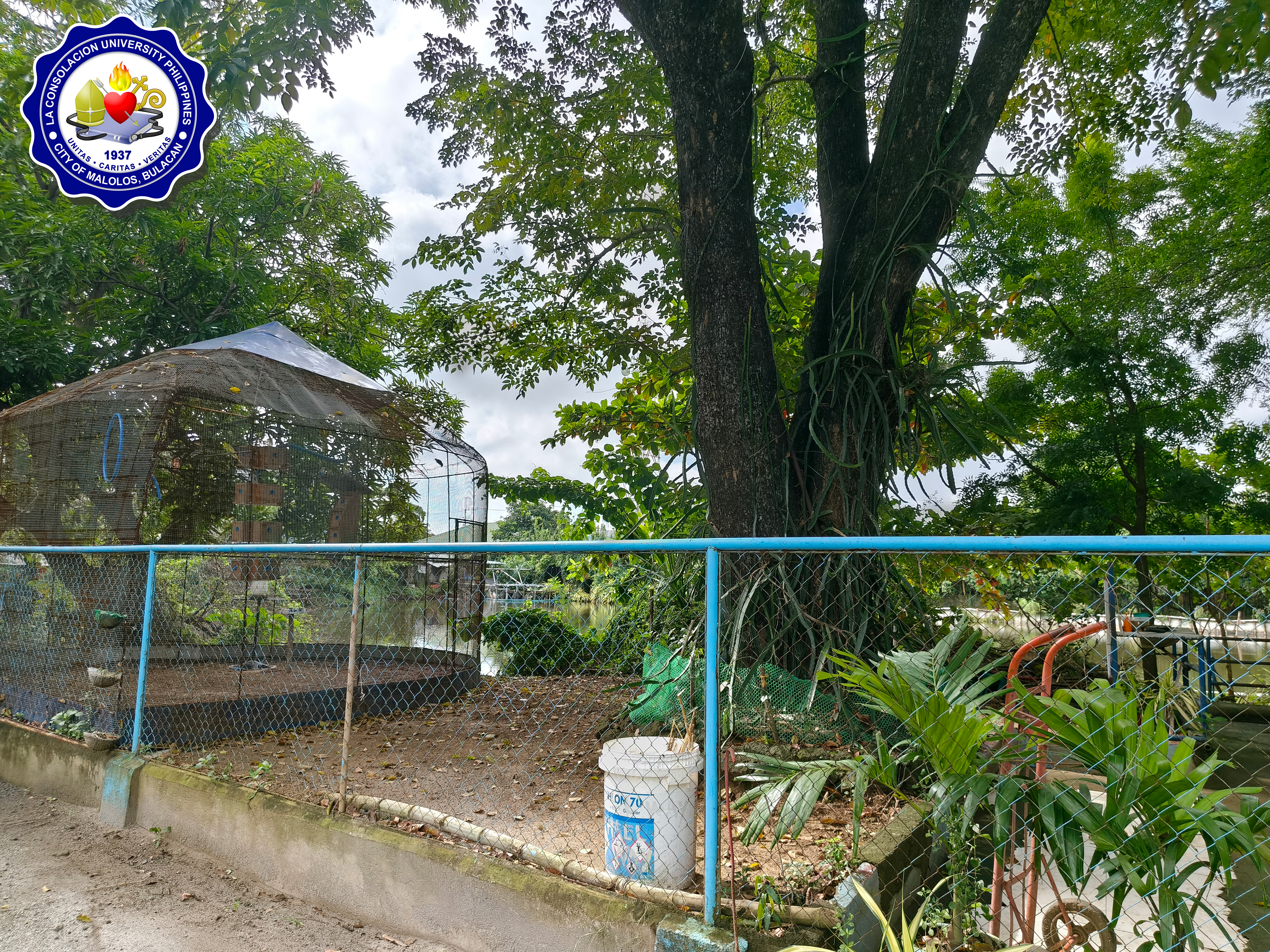 AGOSTINO FARM