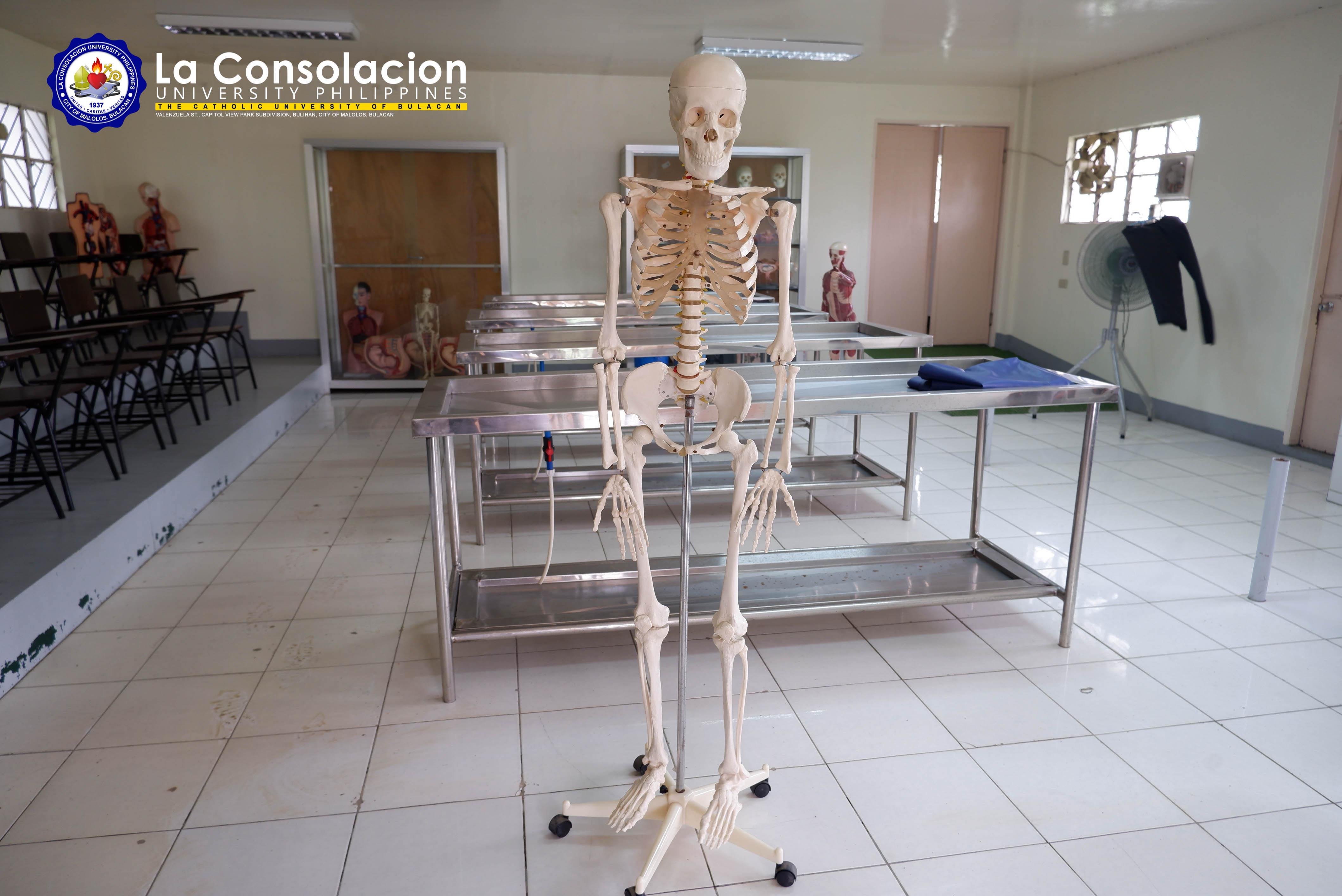 Human Anatomy Laboratory