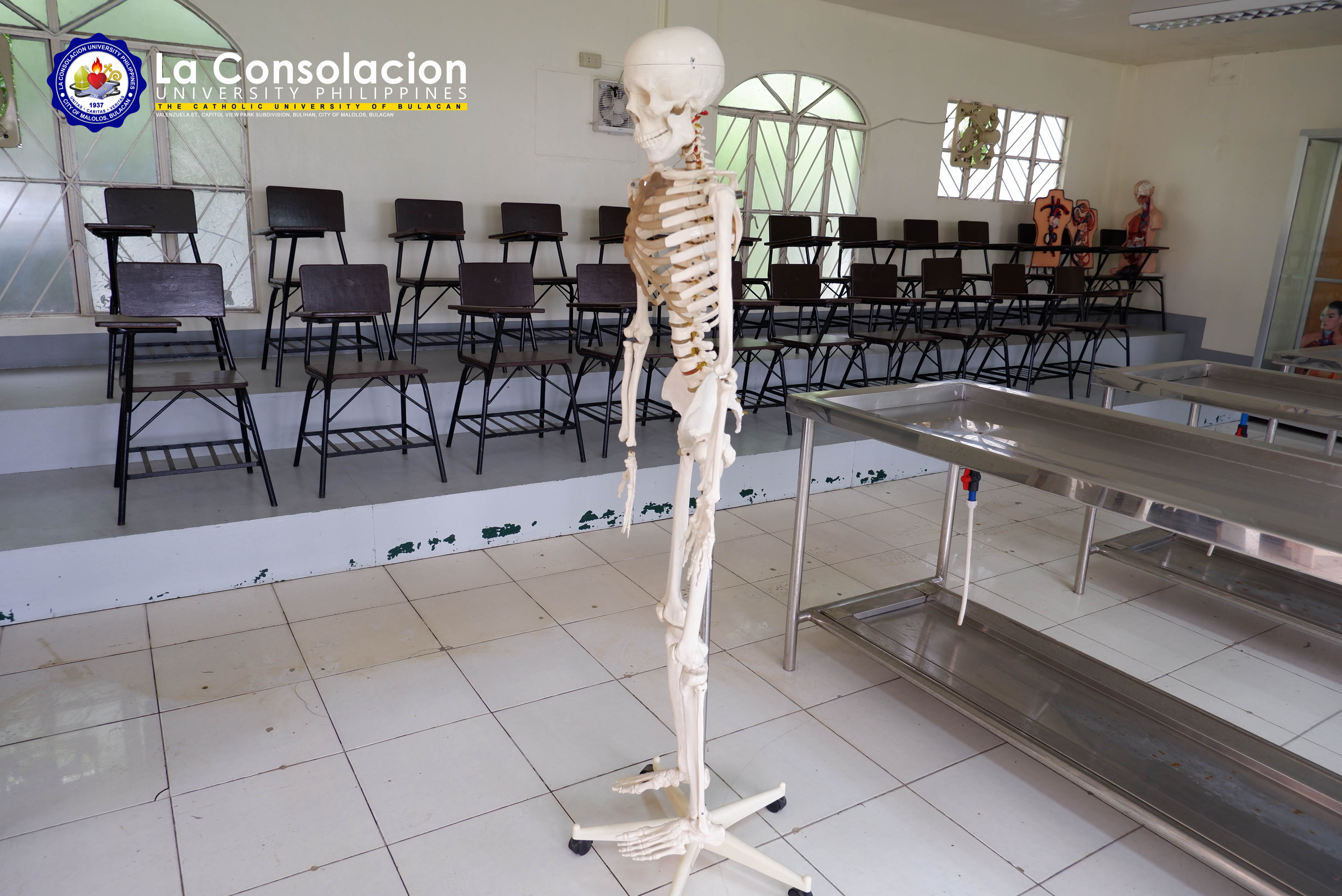 Human Anatomy Laboratory