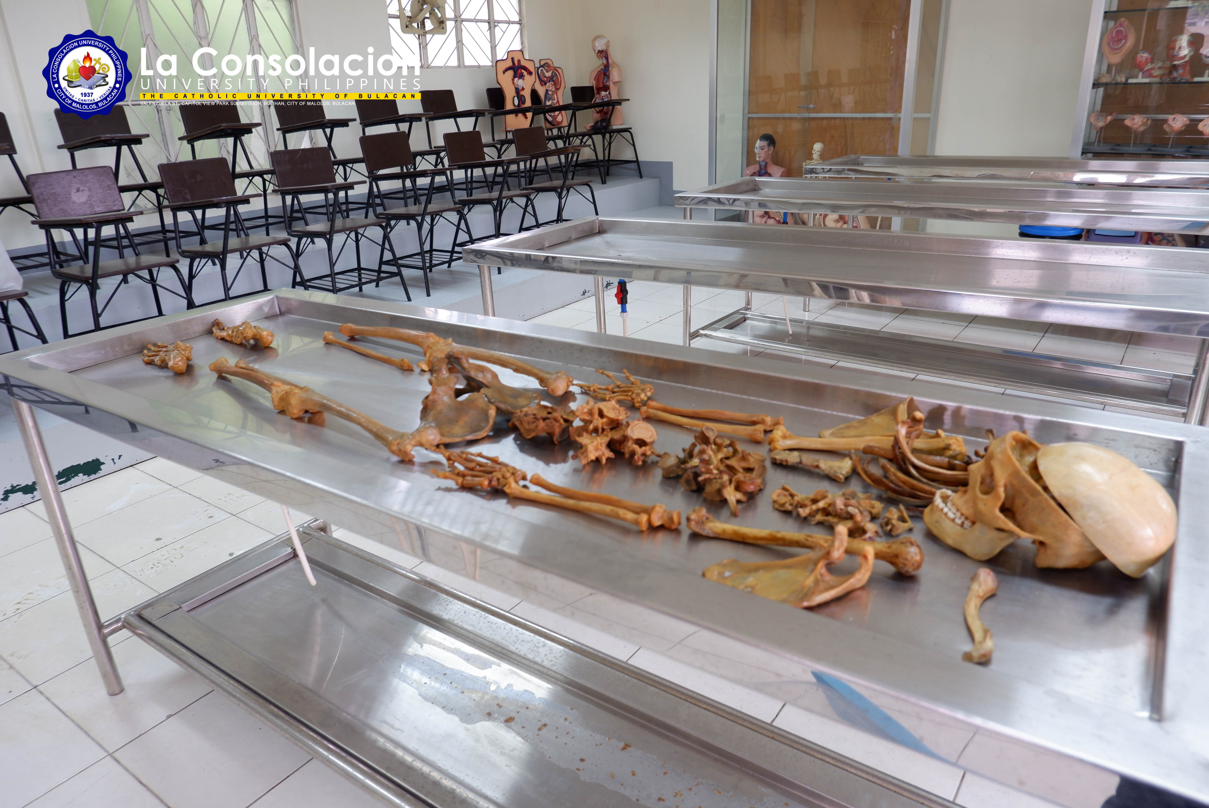 Human Anatomy Laboratory
