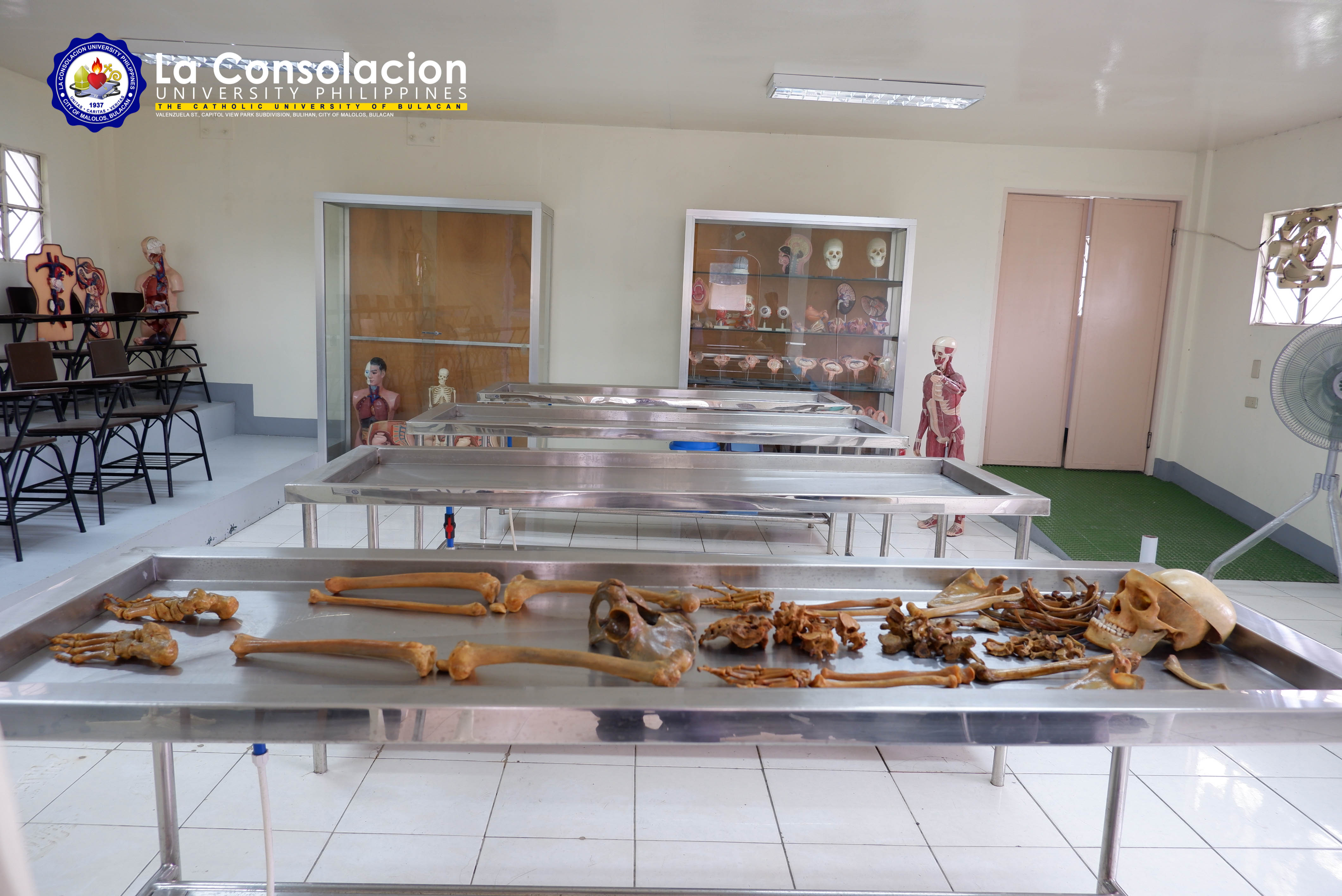 Human Anatomy Laboratory