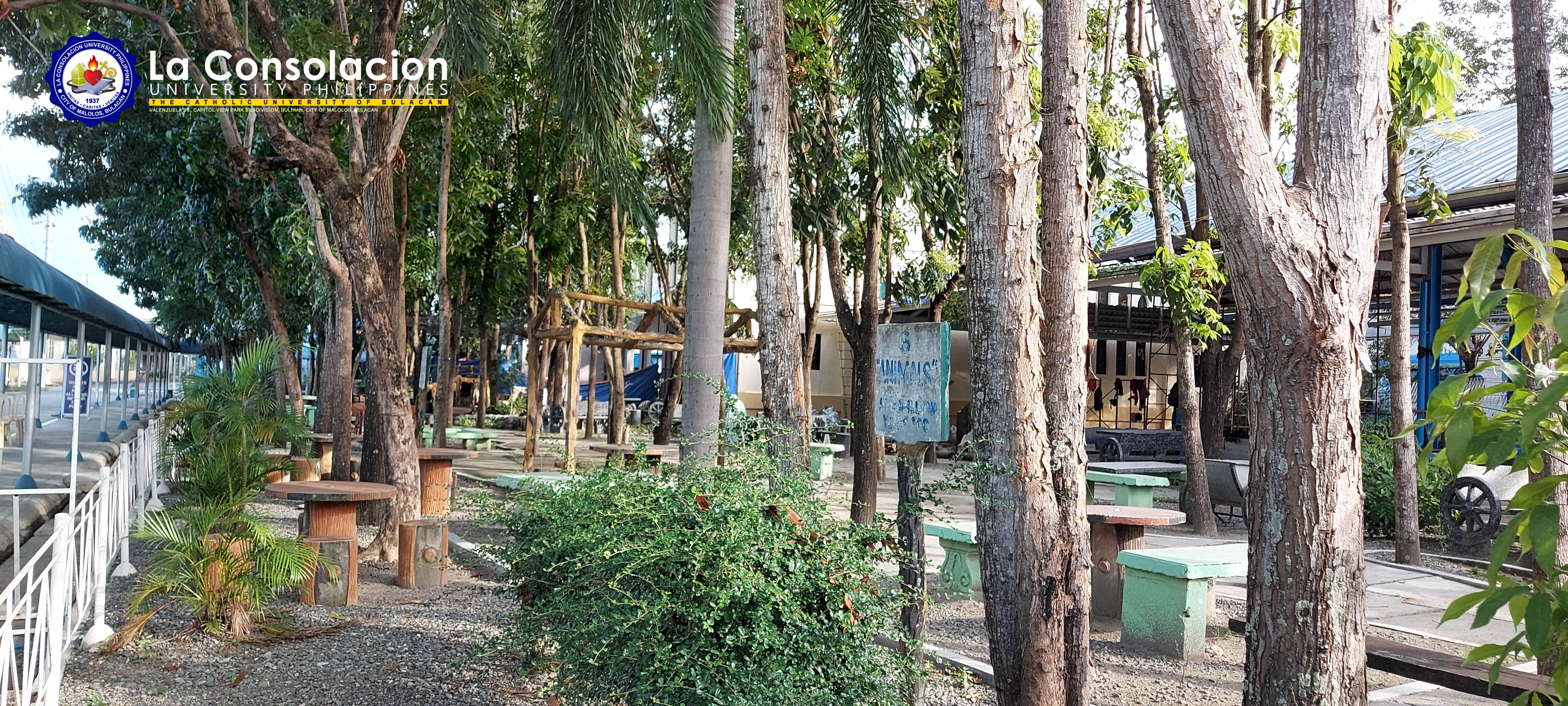Thagaster Miniforest