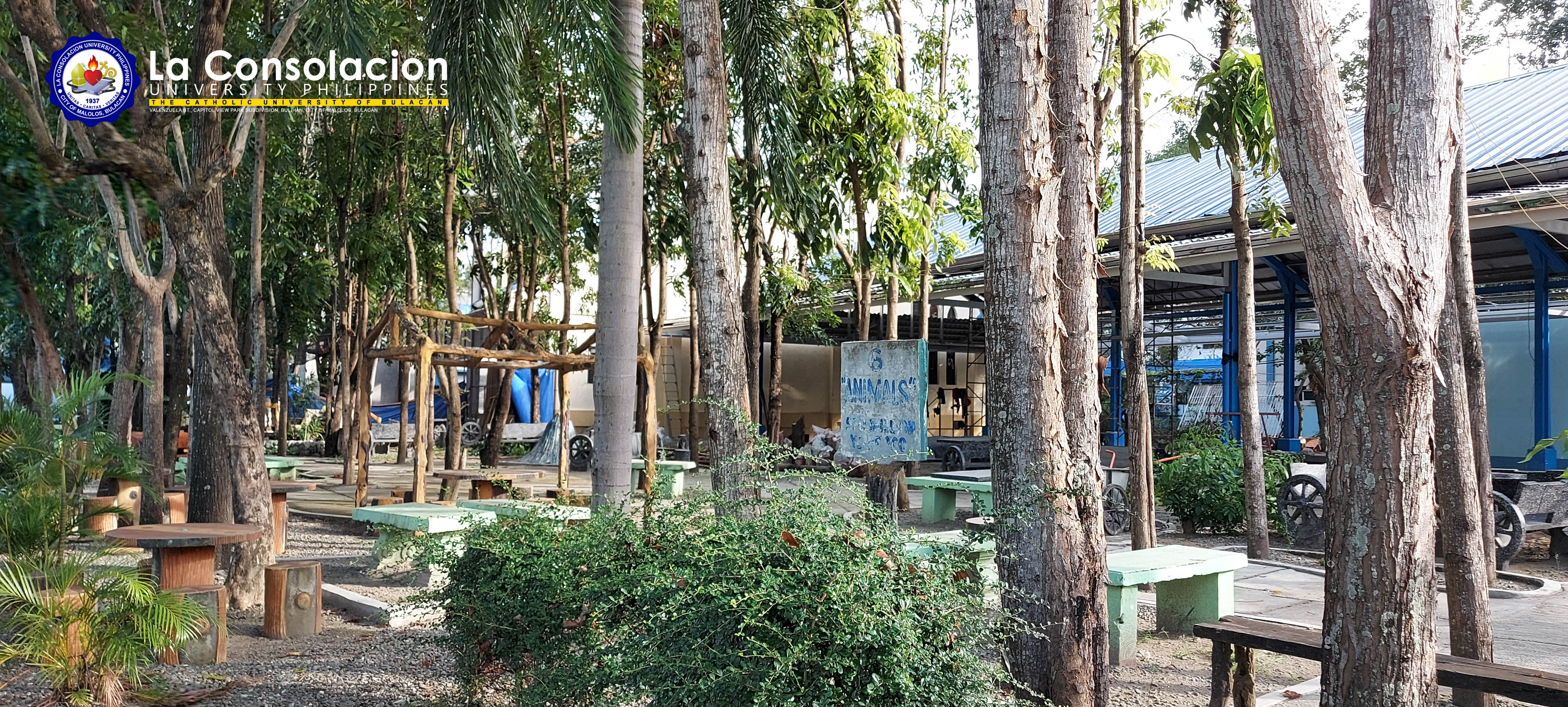 Thagaster Miniforest