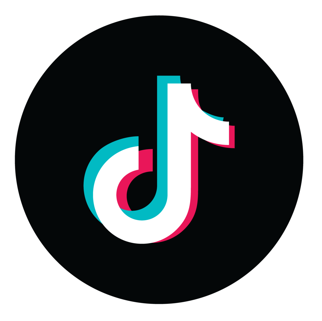 TikTok Icon